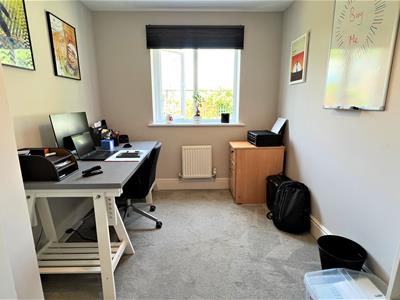Picture 13